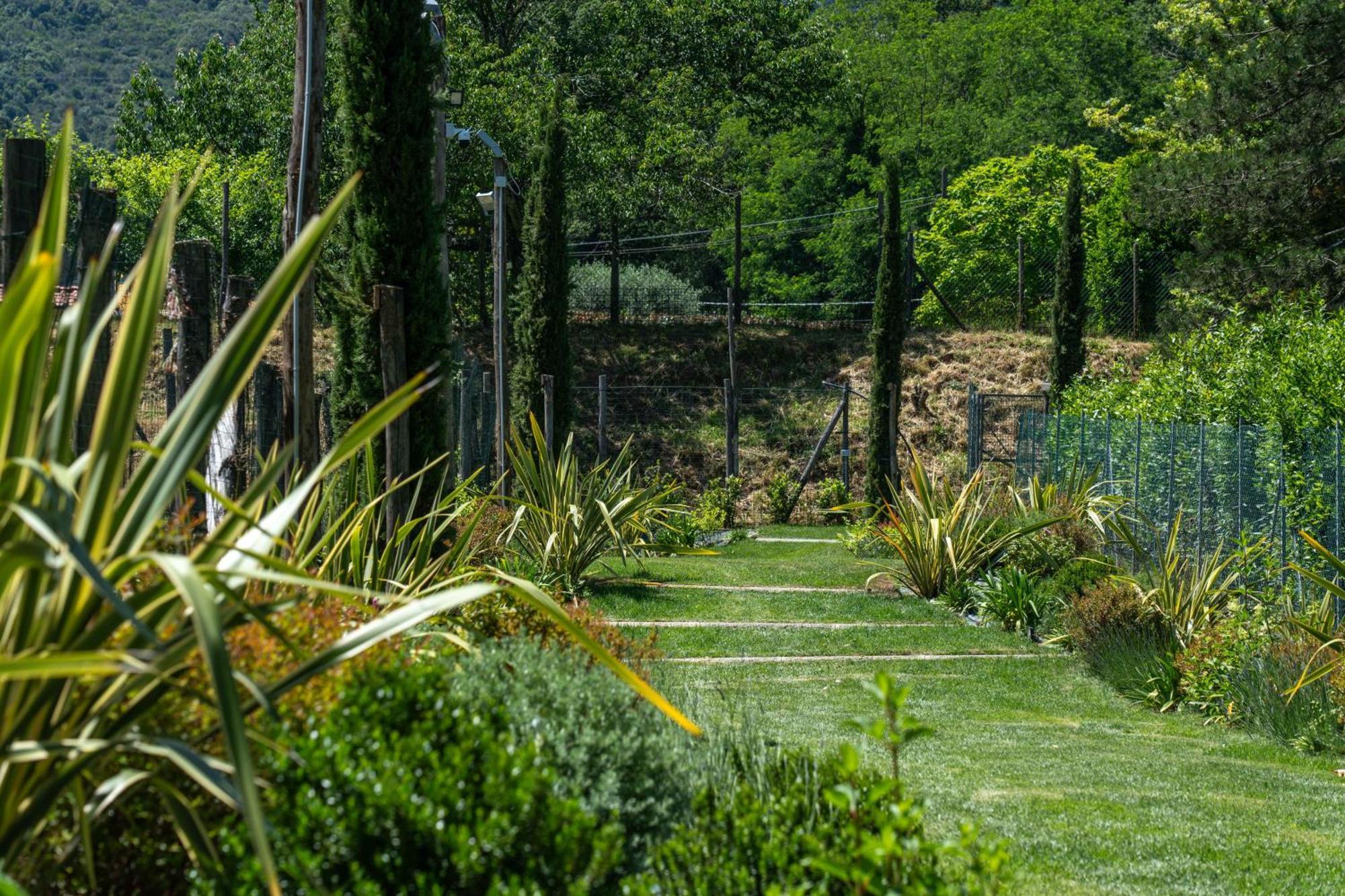 Villa Vittoria - Lusso Con Piscina, Tennis, Jacuzzi E Palestra Lucca Ngoại thất bức ảnh